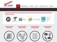 acyss auditores consultores limitada