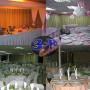Salón La Florida 3