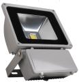 EVOLUX Floodlight Proyector LED 80W