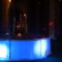 EVENTOS CAYROS
