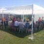 carpa en areas verdes