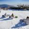 NIEVE