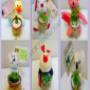 Mini Peluches souvenirs cactus y suculentas