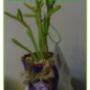 Yute Natural "florcita en género"