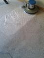 LIMPIEZA DE ALFOMBRAS MURO A MURO