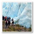 VIVE PATAGONIA TORRES DEL PAINE Y GLACIARES