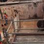 Subido por visitante en 30-08-2016