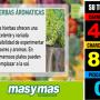 Gestion de Turno