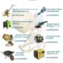 Catalogo1
