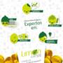 Servicios