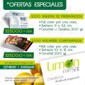 Flyers y Tarjetas de Presentacion