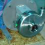 Bombas centrifugas