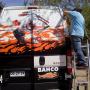 Rotulacion de vehiculos