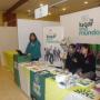 Stand Pro