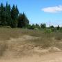 venta sitio en Puchuncavi