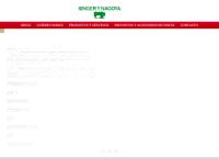 Sitio web de Singer y Nagoya