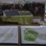 Feria Ecosustentable