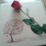 Presentacion