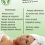 nuestros servicios