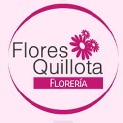 FLORES QUILLOTA