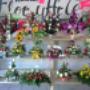 flor y arte