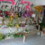 nuestros productos
