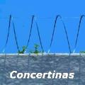Concertinas