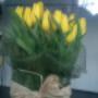Subido por visitante en 18-08-2016 - Floret tulipanes