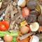alimento-lombrices