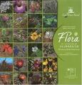 Flora-Región-de-Valparaís
