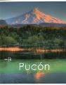 PUCÓN Inside