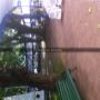 carpas 2