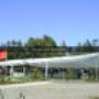 carpas