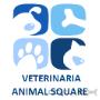 Subido por visitante en 31-08-2016