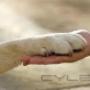 Subido por visitante en 13-09-2016