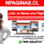 Subido por visitante en 18-11-2016 - Diseñador de paginas web profesionales en Chile