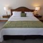 Queen Bed