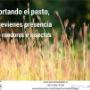 Subido por visitante en 18-05-2017