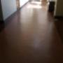 Subido por visitante en 18-10-2017