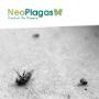 neoplagas-control-de-plagas