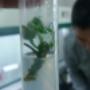 Subido por visitante en 18-10-2017 - Trabajo conjunto laboratorio