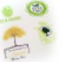 Transfer Textil para estampar