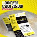 Flyer 1.000 unidades a solo $ 25.000