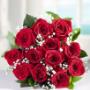 Belleza Floral