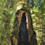 # 4