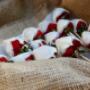 Frutillas ramo
