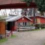 # 5