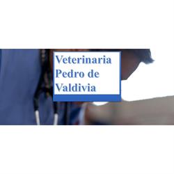 Veterinaria Pedro de Valdivia