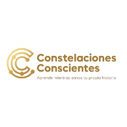 Curso de Barras de Access Oficial en Santiago Chile -  Lilibeth Carrasco