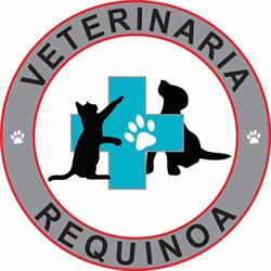 Clínica Veterinaria Requinoa